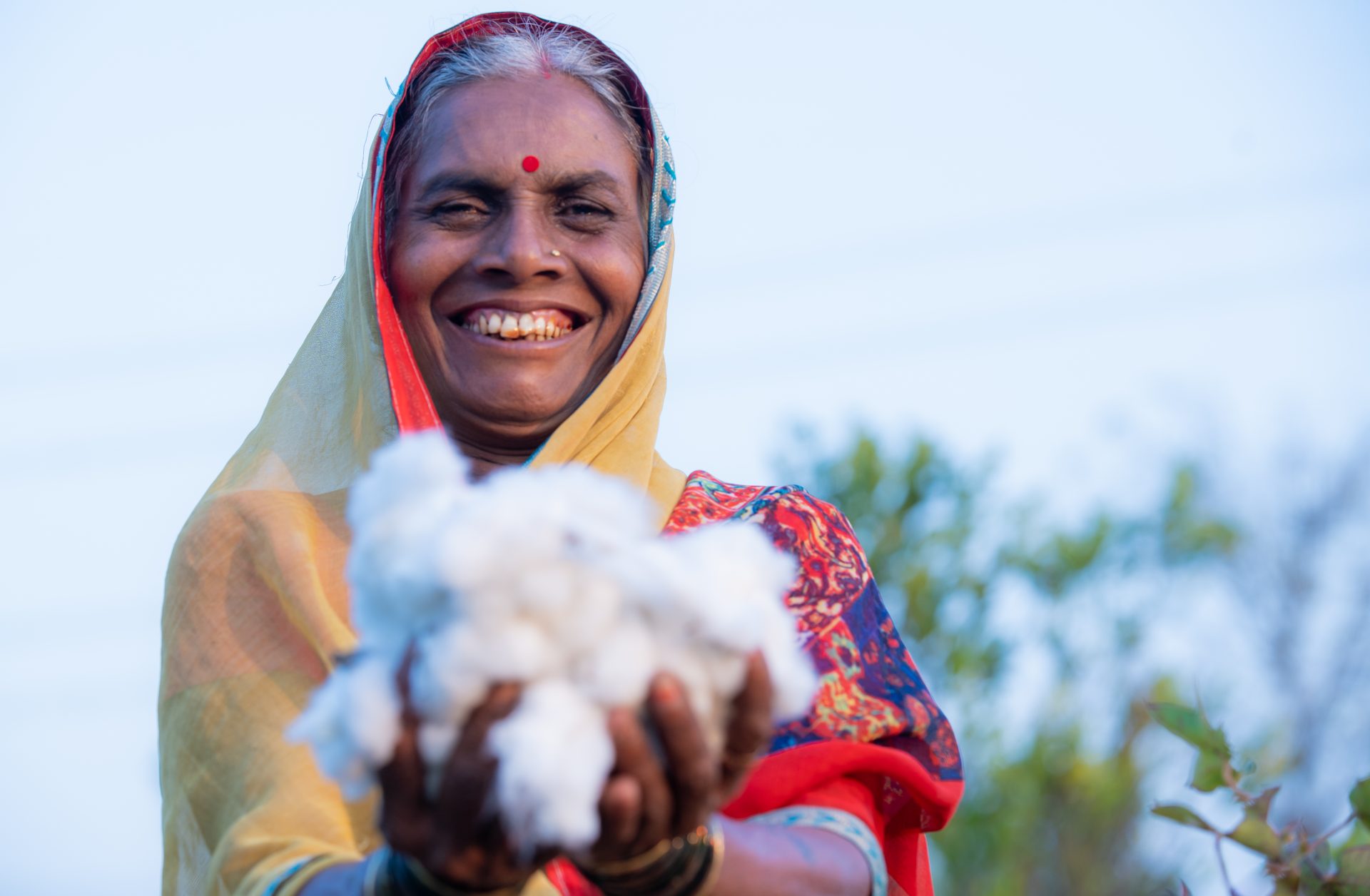 Smiling woman holding raw cotton bolls in her hands